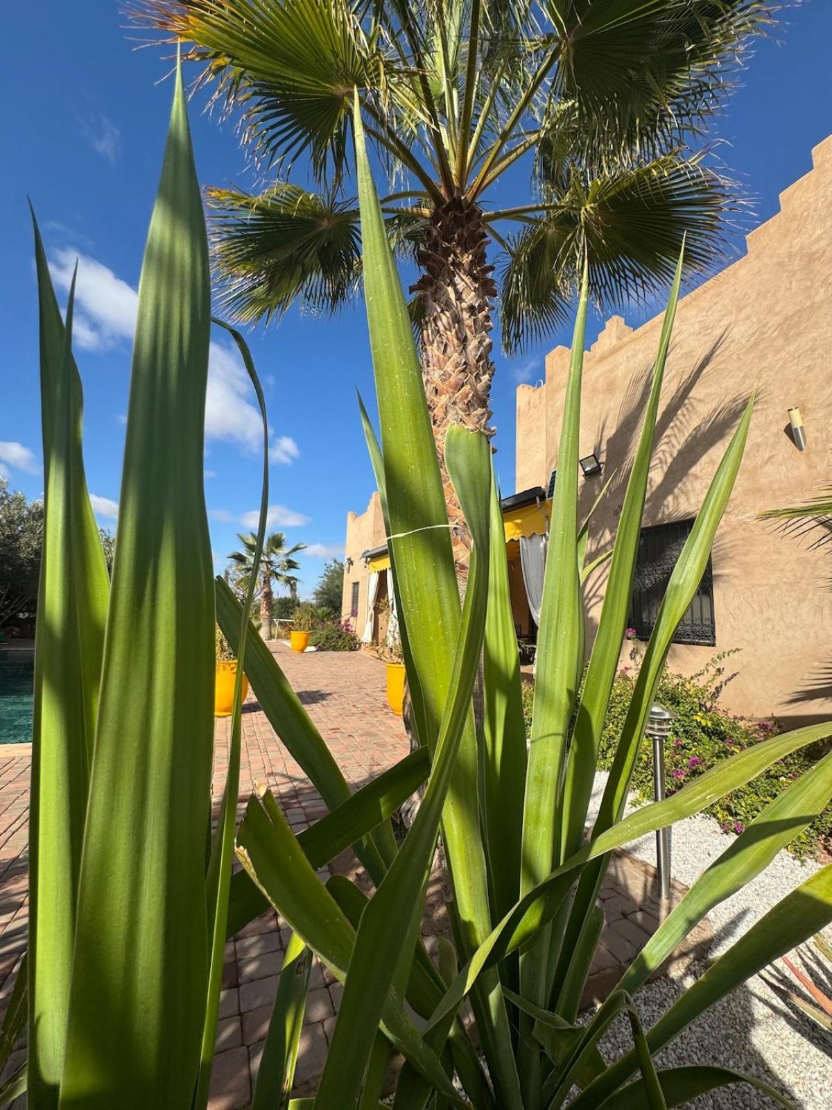 Splendide Avec Piscine Villa Marrakesh