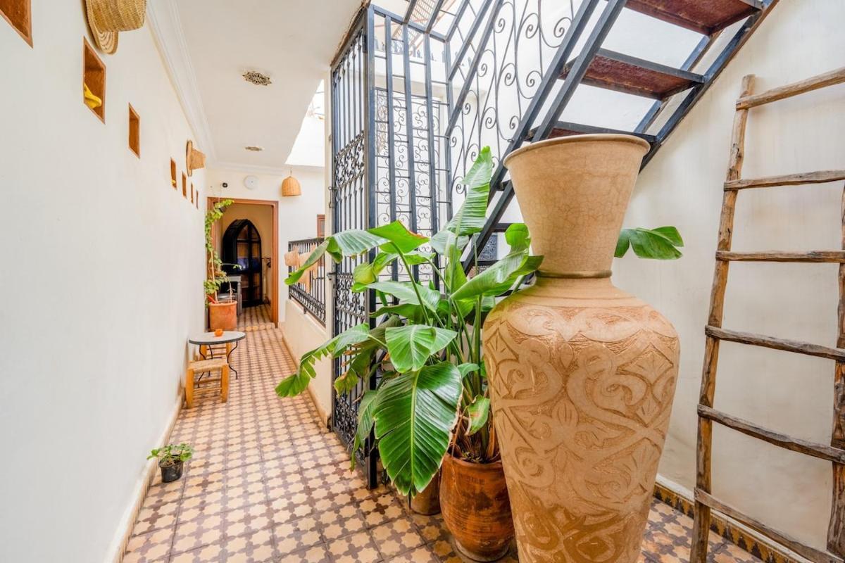 3 - Petit Dejeuner Gratuit - Position Ferienhaus