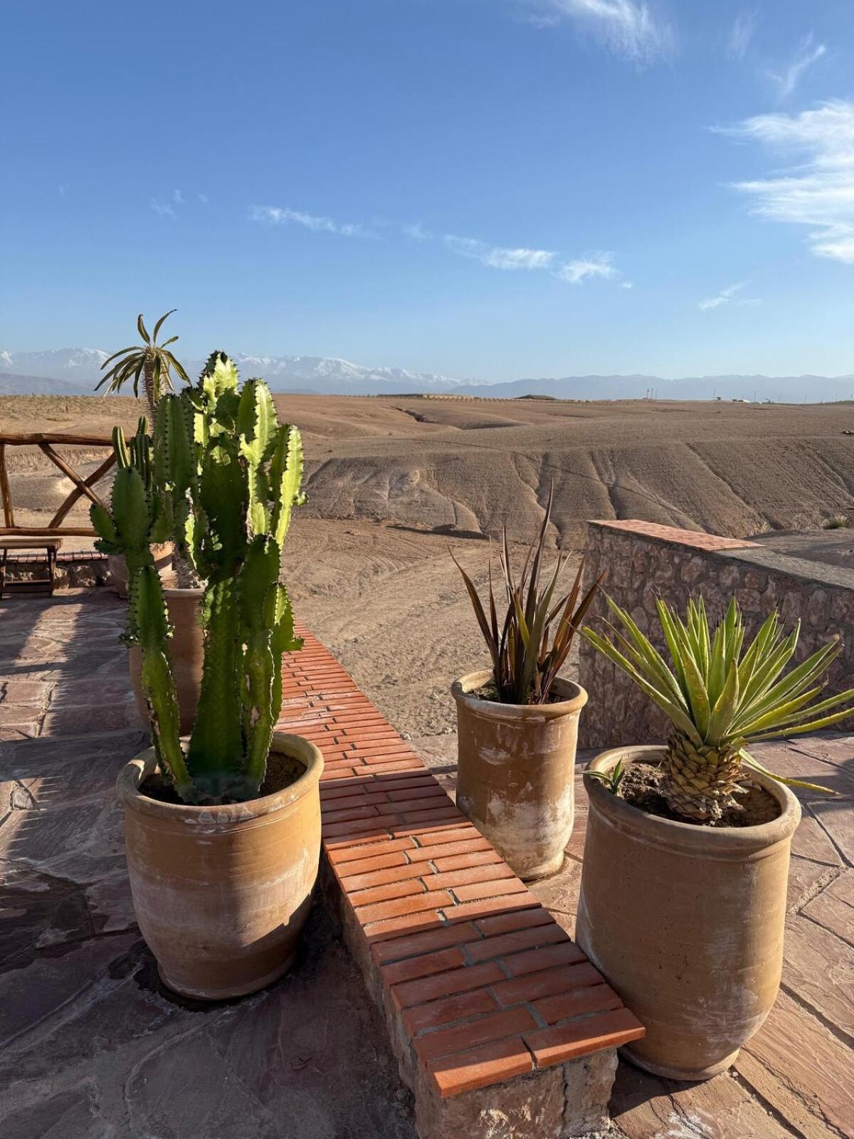 Apartment Le Darna - Marrakech Victor Hugo - 2prs - Wifi *