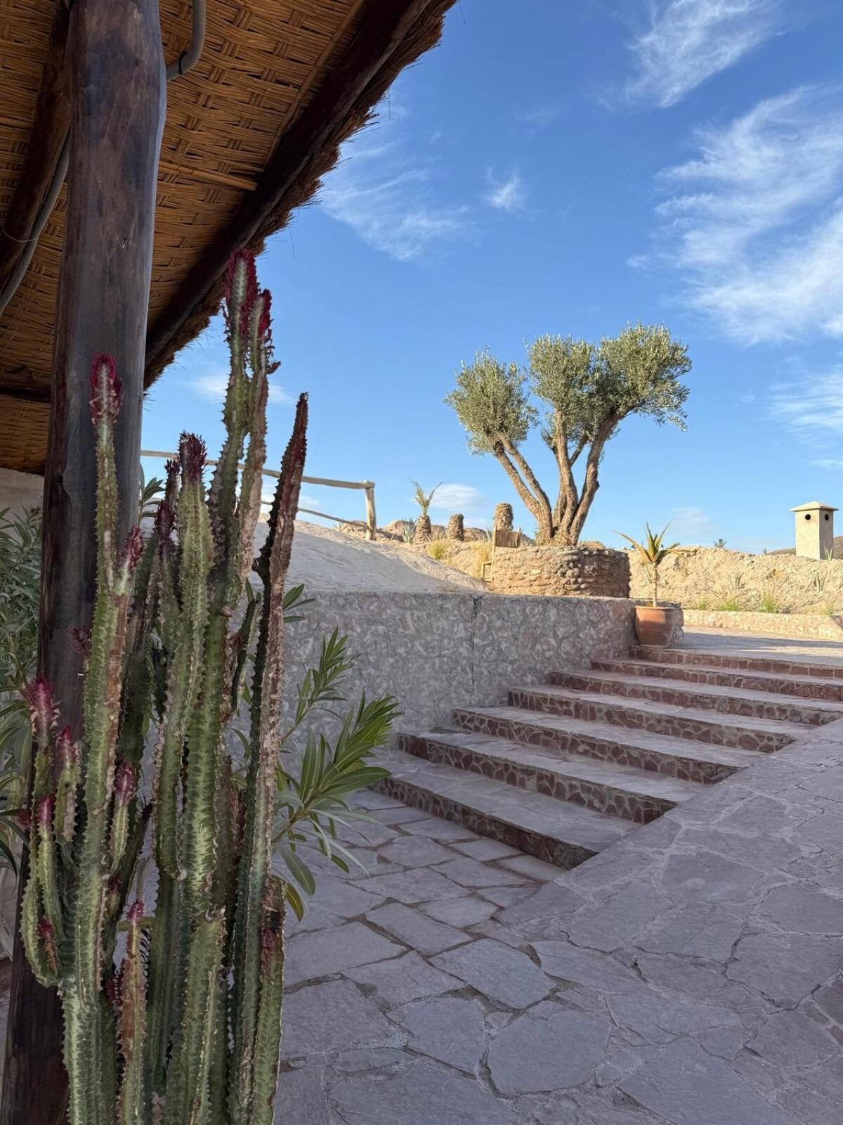 Le Darna - Marrakech Victor Hugo - 2prs - Wifi Appartement Marrakesh