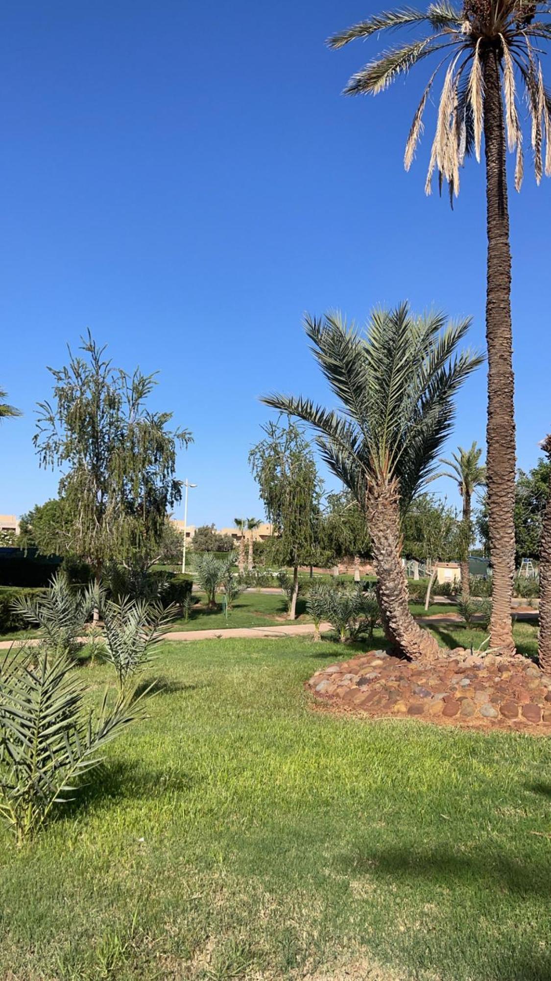Ben House Palmeraie Marrakesh