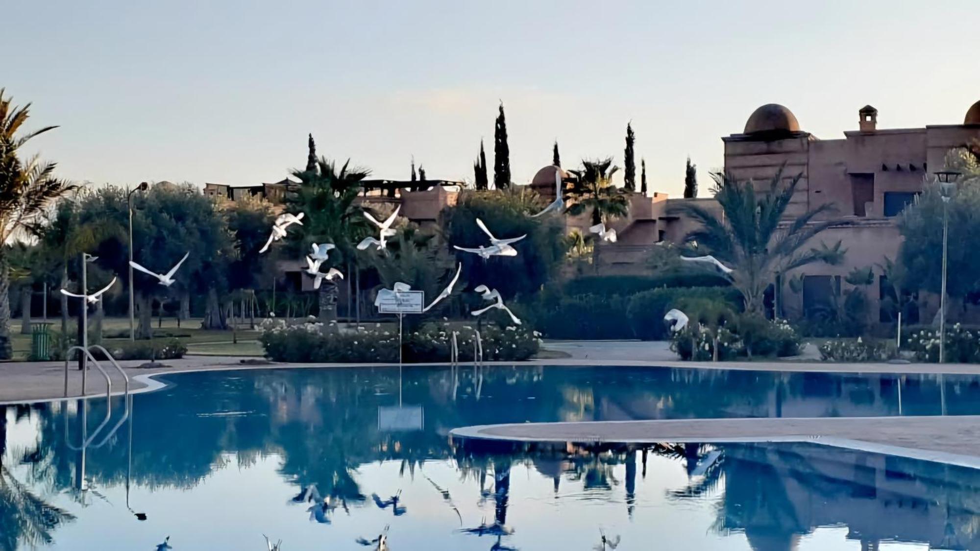 La Perle De L'atlas By Golf Appartement Marrakesh