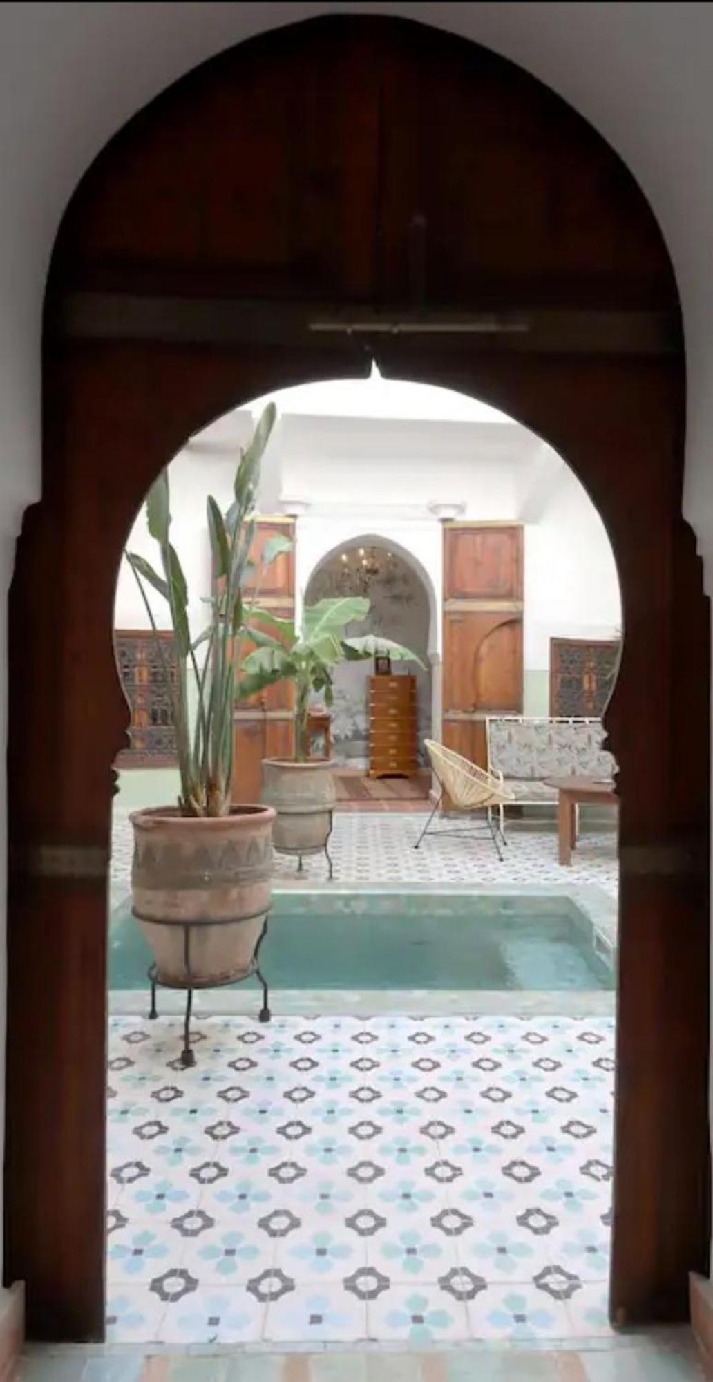 Panthera, Medina Villa *