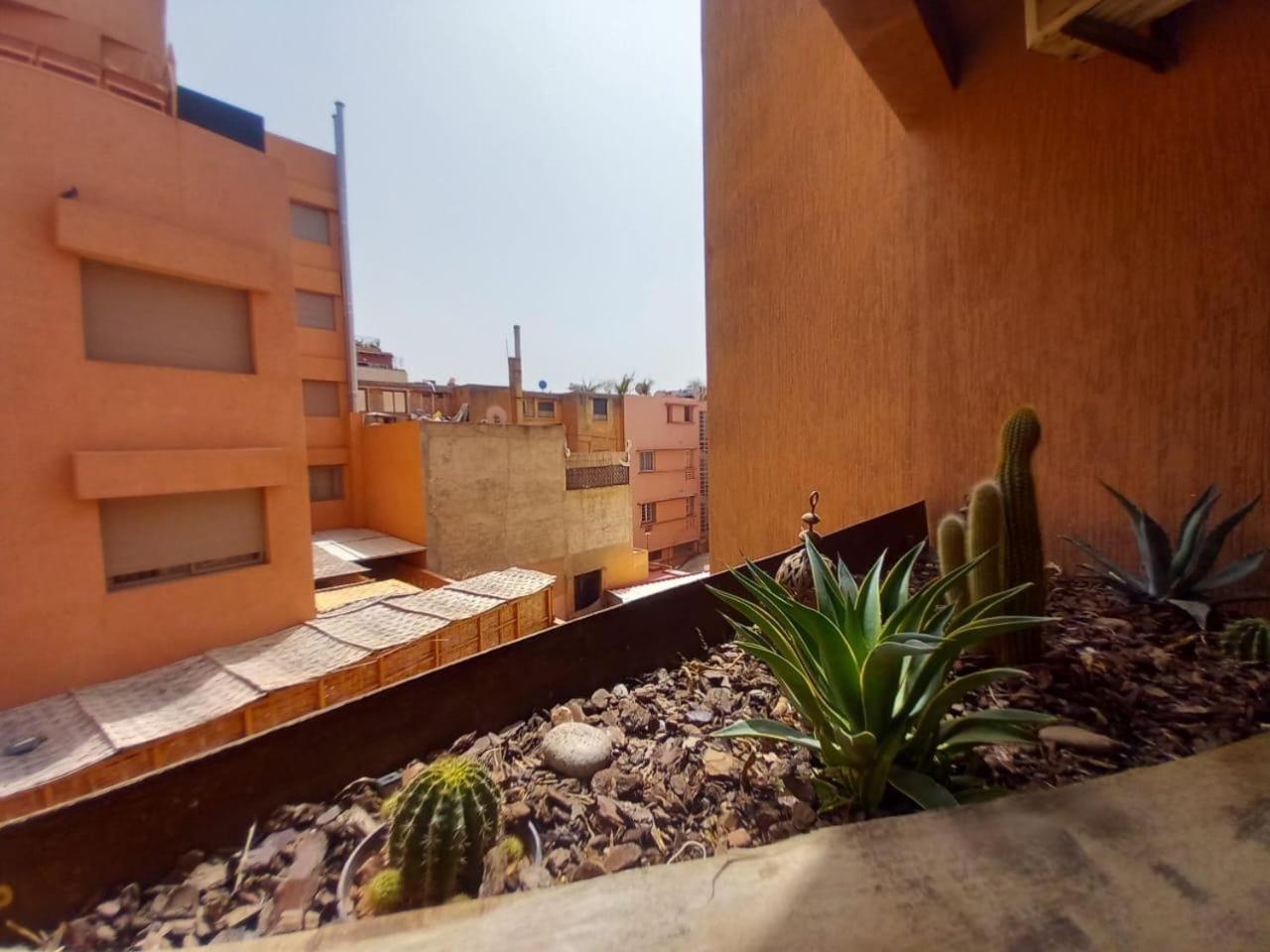 Cosy Et Confortable Marrakesh