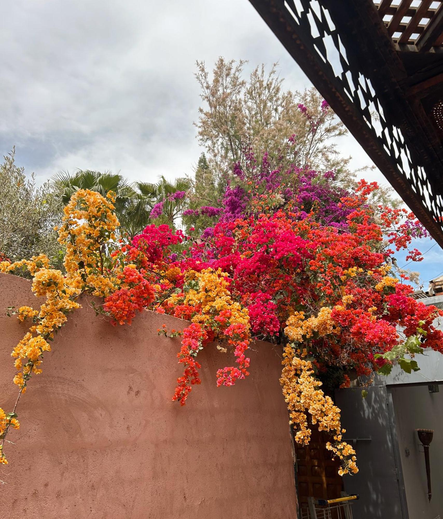 Fekhara Country Club Marrakesh