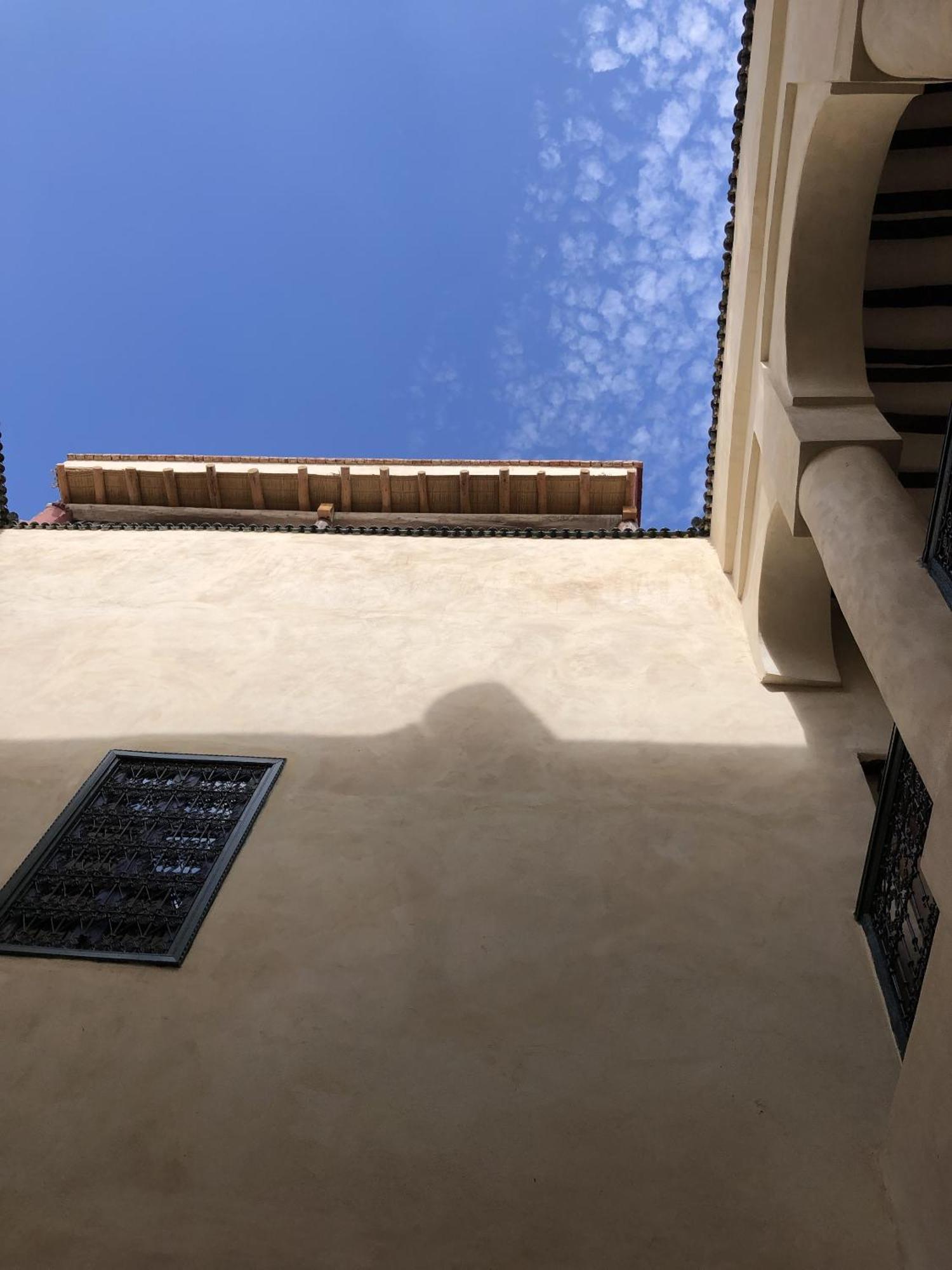 Paquerette Marrakesh