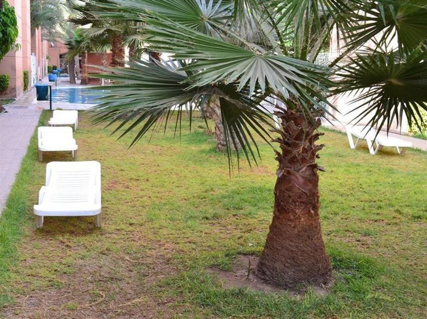 - Piscine -wifi *