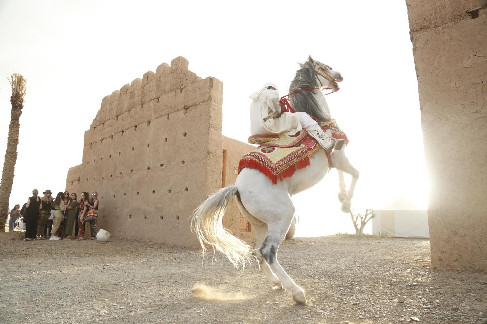 The White Camel Camp - Agafay Desert Activities Lodge