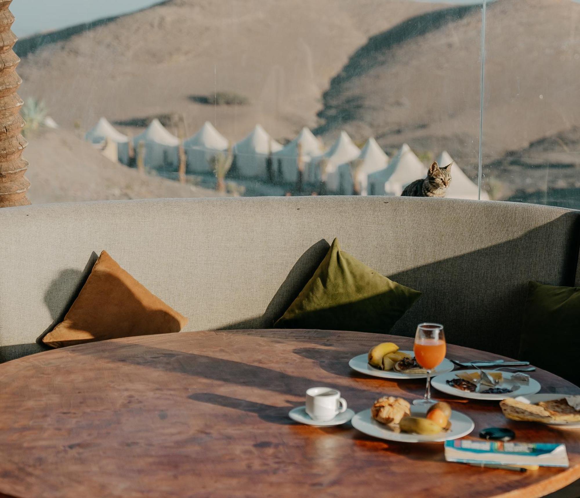 The White Camel Camp - Agafay Desert Activities * Marrakesh