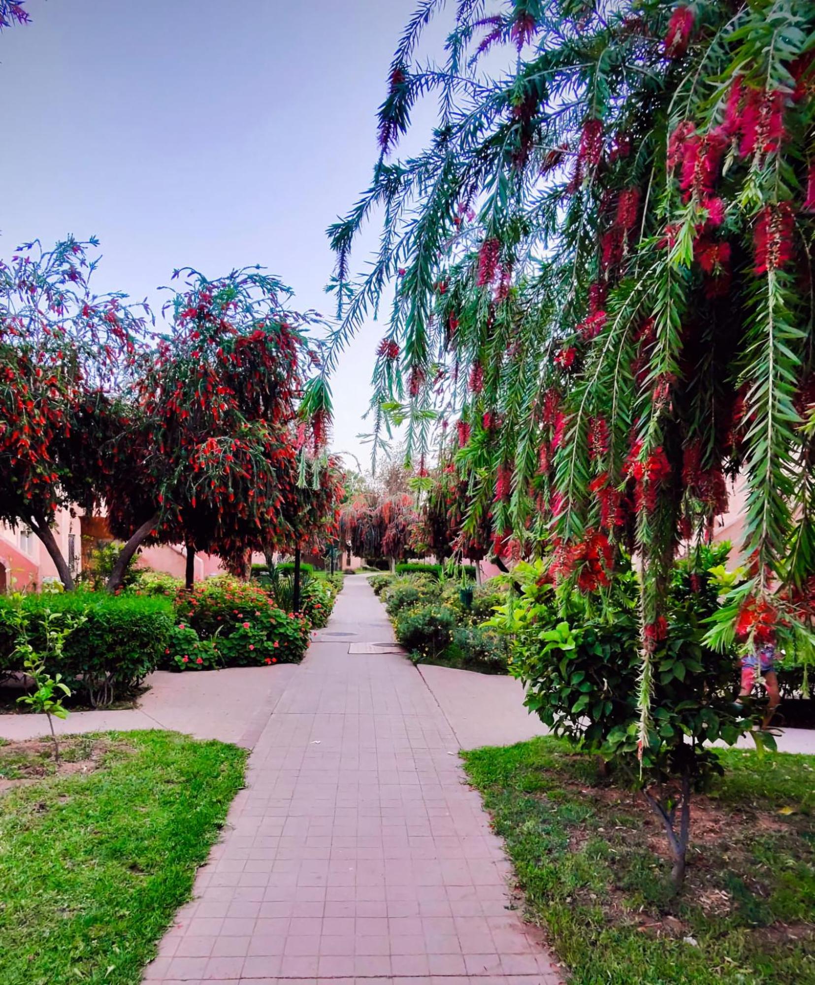 Apartment La Perle De L'atlas By Golf Marrakesh