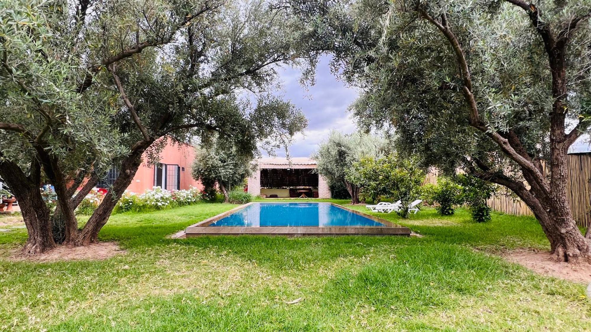 Serenity Olive Retreat Prive Marrakech Villa
