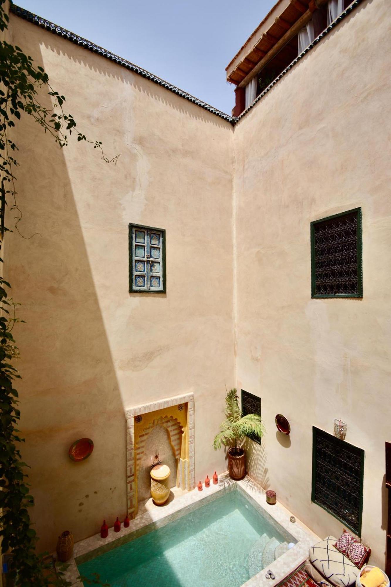 Paquerette Marrakesh