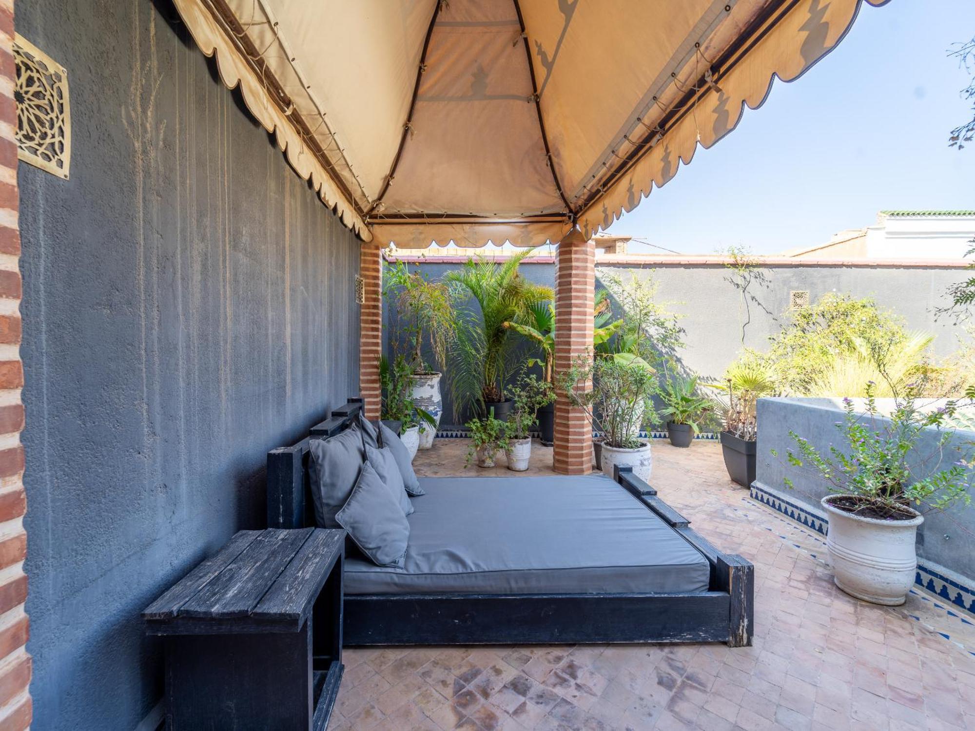 Serendip * Marrakesh