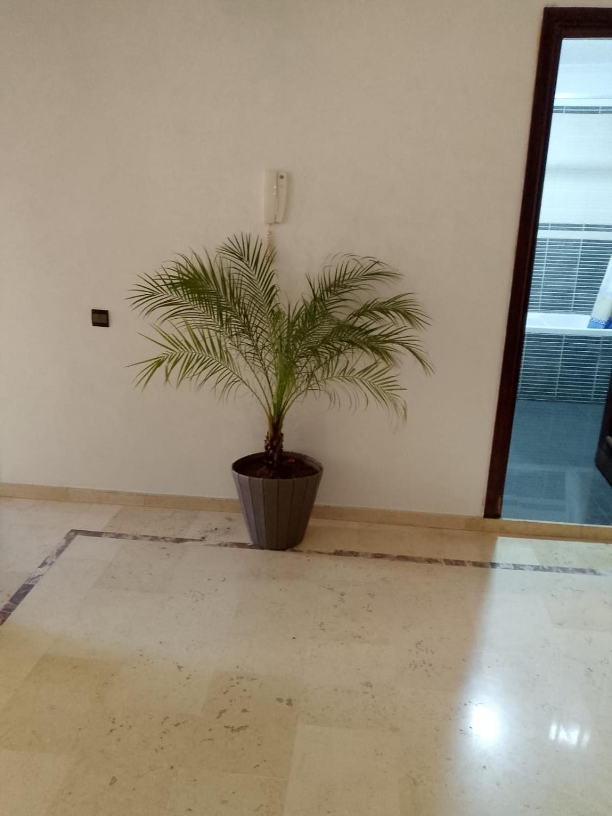 Appartement En Plein Centre Marrakesh