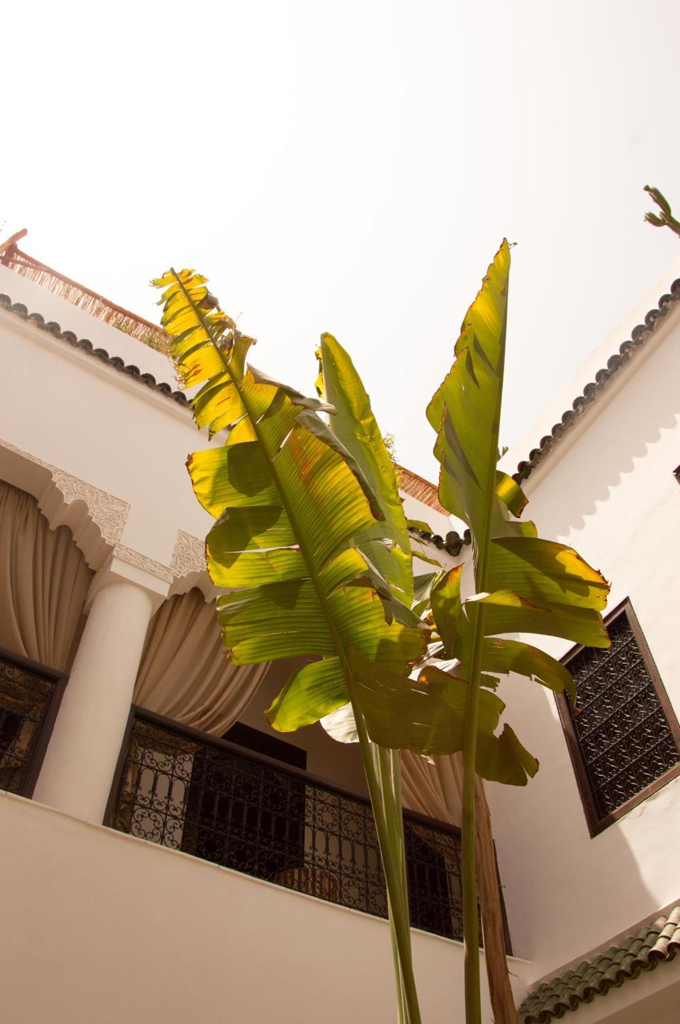 Dar El Mahja Bed & Breakfast