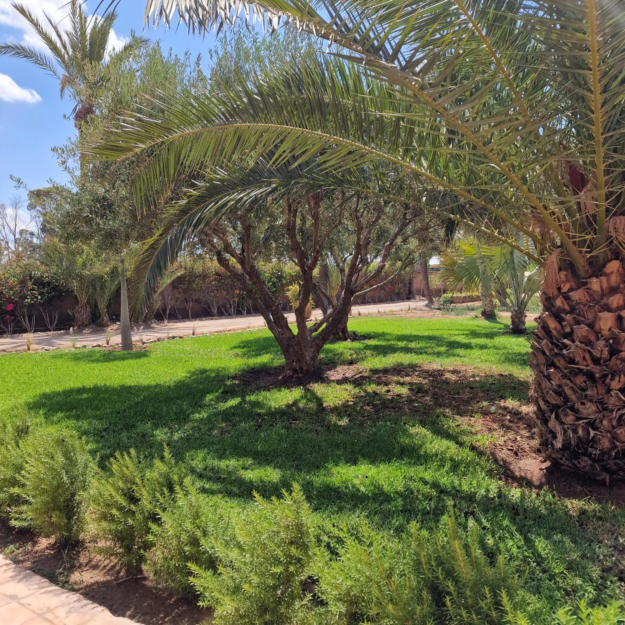 Dar 55 - Berber House Gasthof Marrakesch