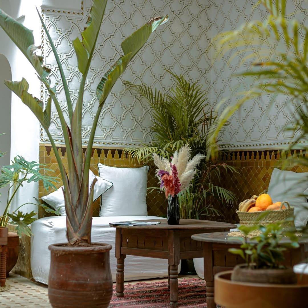 Darino 3* Marrakesh