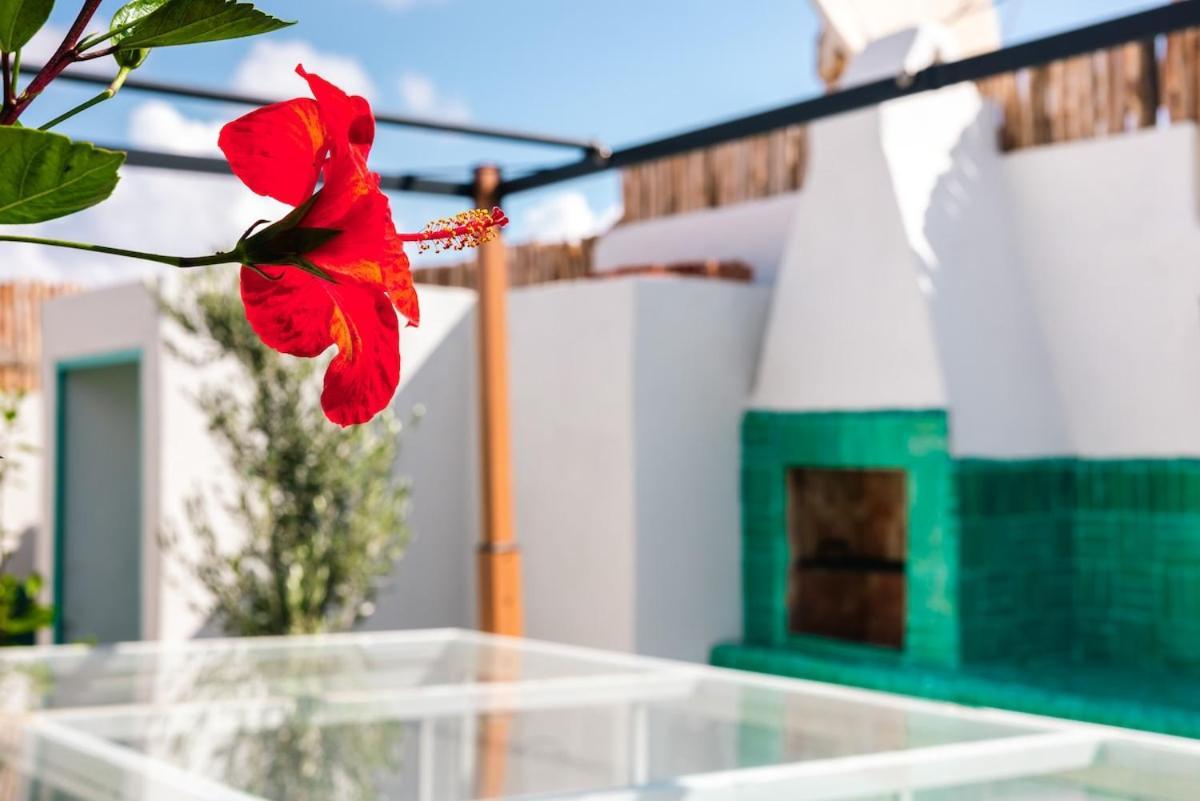 Luxury Riad, Marrakech, Pool, Free Airport Shuttle, Dar Bassidi Holiday home