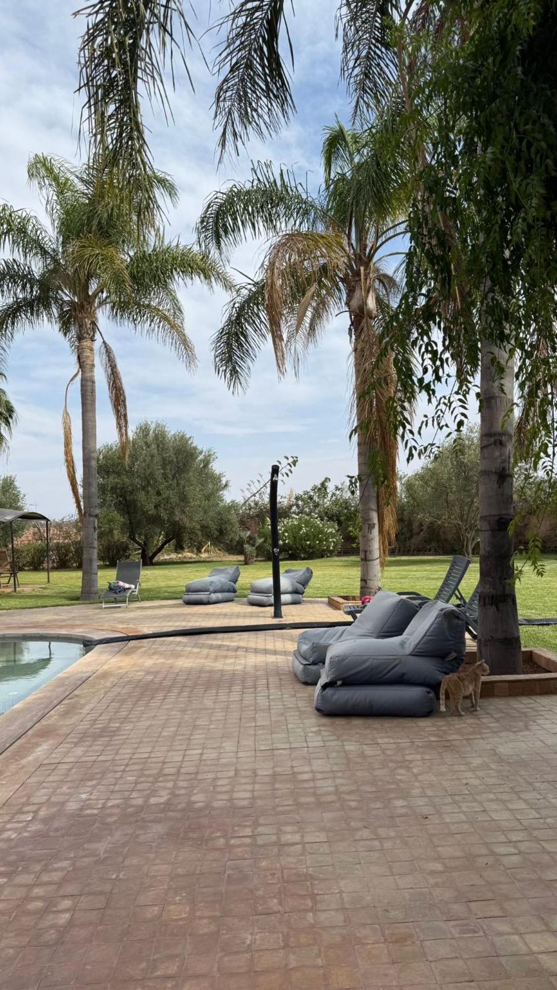 Nourr Marrakesh