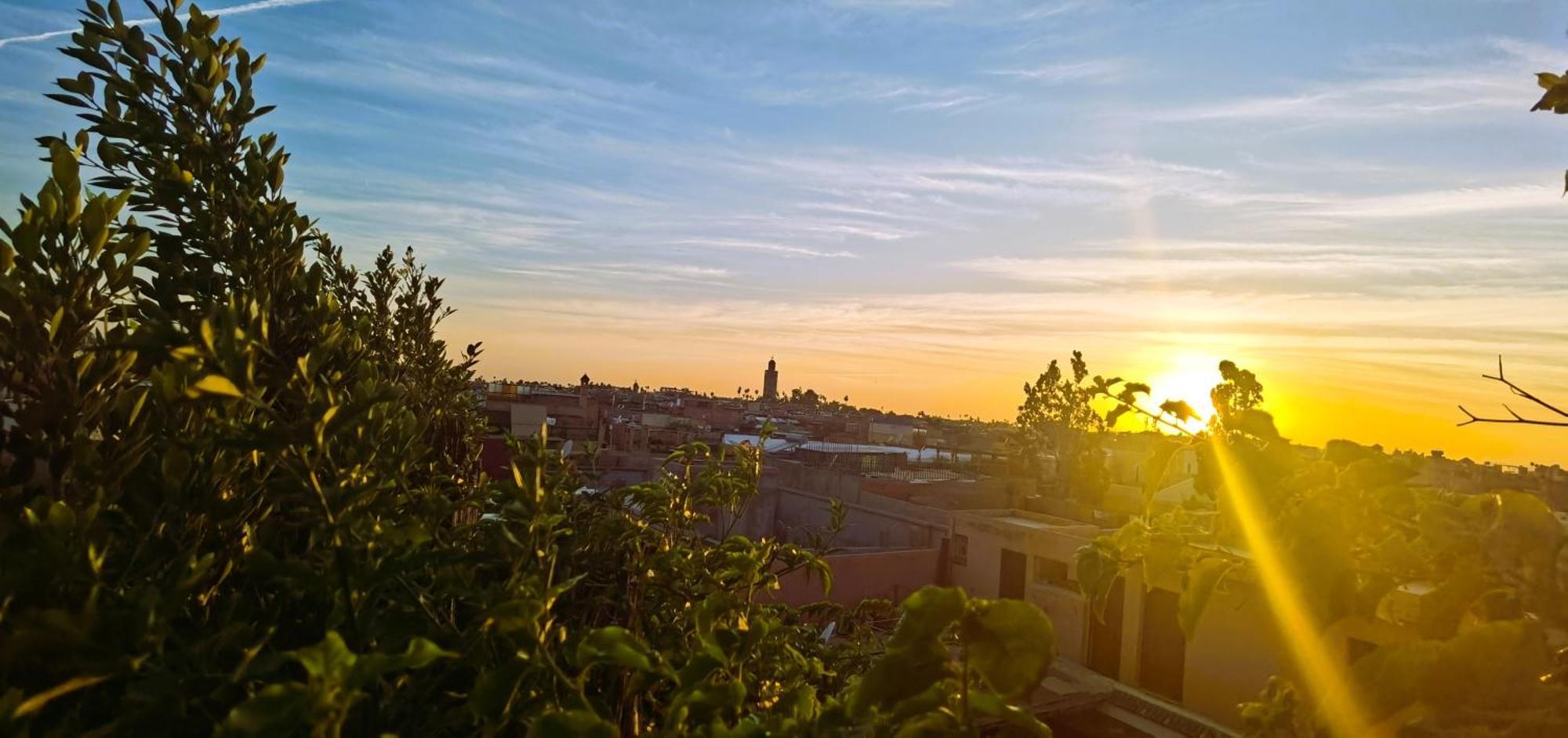 Zagouda Riad