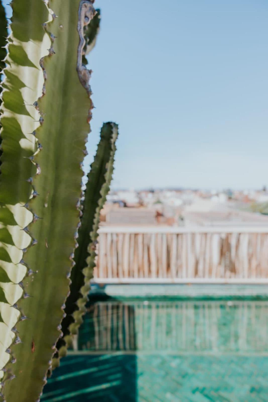 Nelia Marrakech, Collection Bed & Breakfast *