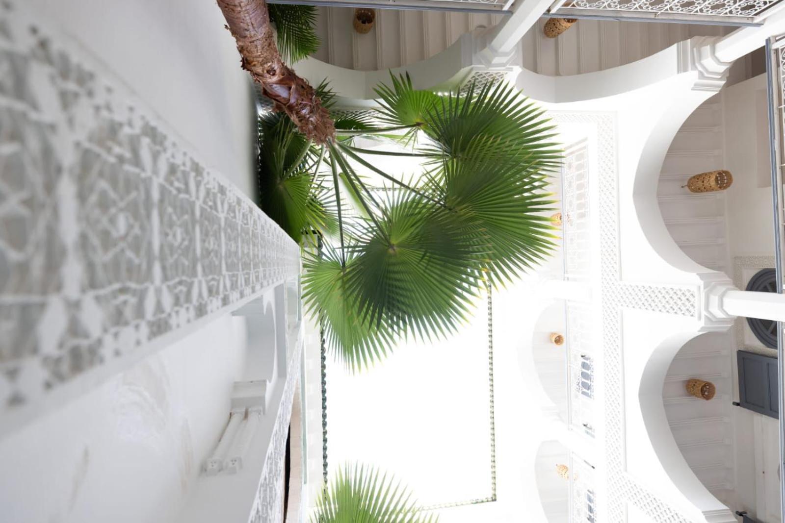 Nelia Marrakech, Collection