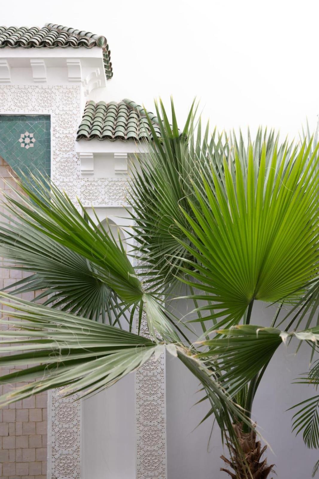 Bed & Breakfast Nelia Marrakech, Collection Marrakesh