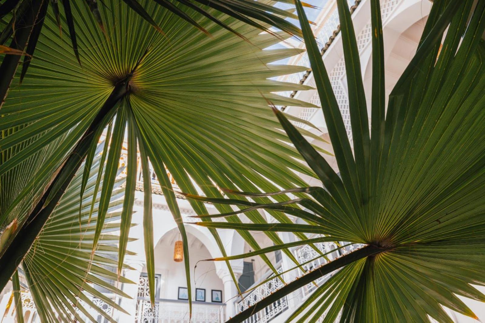 Nelia Marrakech, Collection Frühstückspension