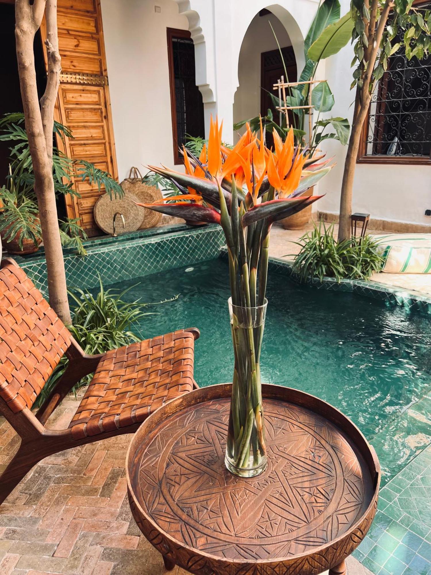 Prive Sadaka Bassin Rooftop Villa Marrakesch