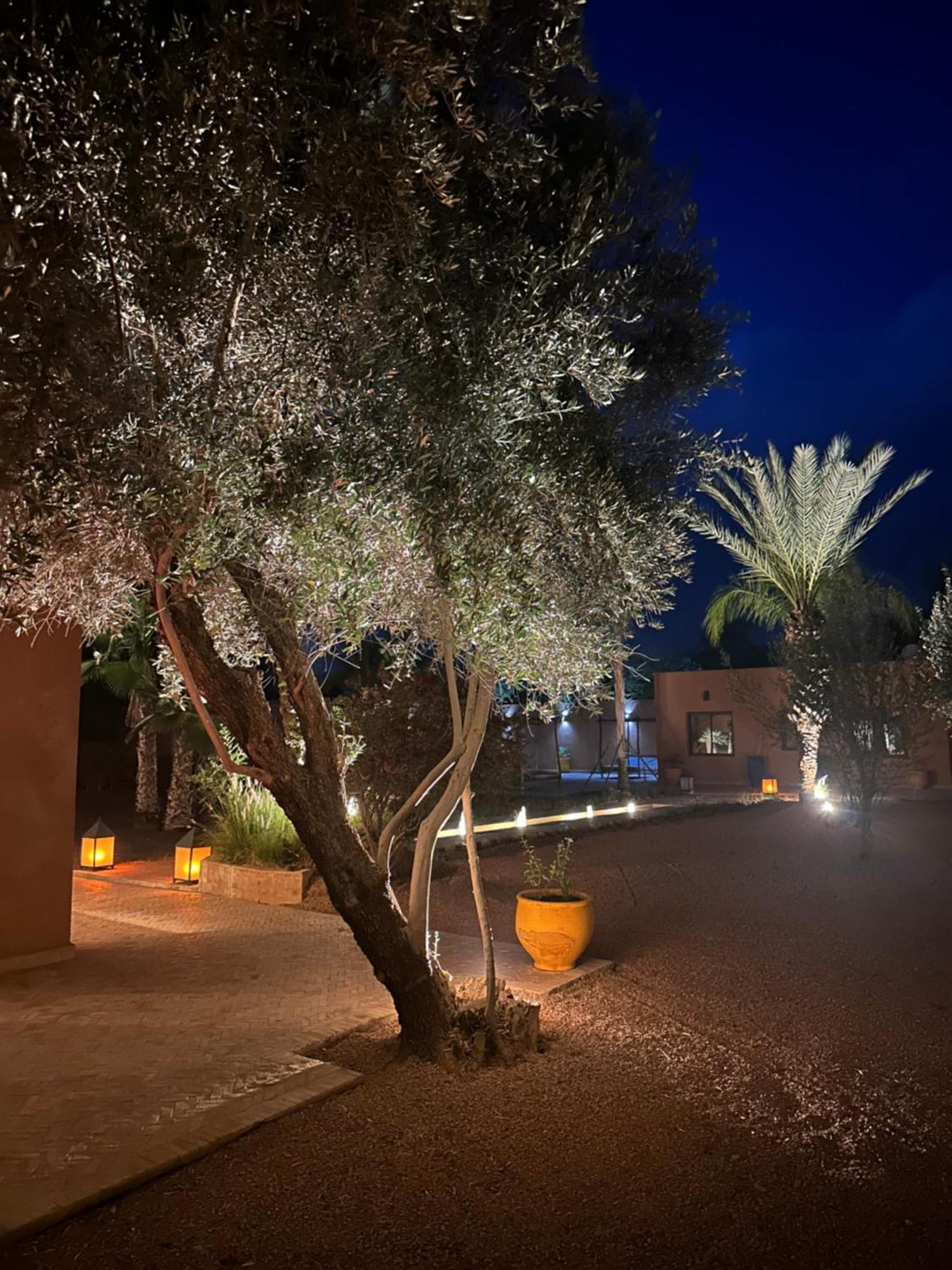 Simari Palmeraie Marrakech Nouveau! Petit Dejeuner Compris-entierement Renovee-superbe Piscine Privee Chauffee-personnel De Maison Inclus-grand Jardin De 2000m2-terrain De Petanque-ambiance Typique Berbere-havre De Paix Villa Marrakesh