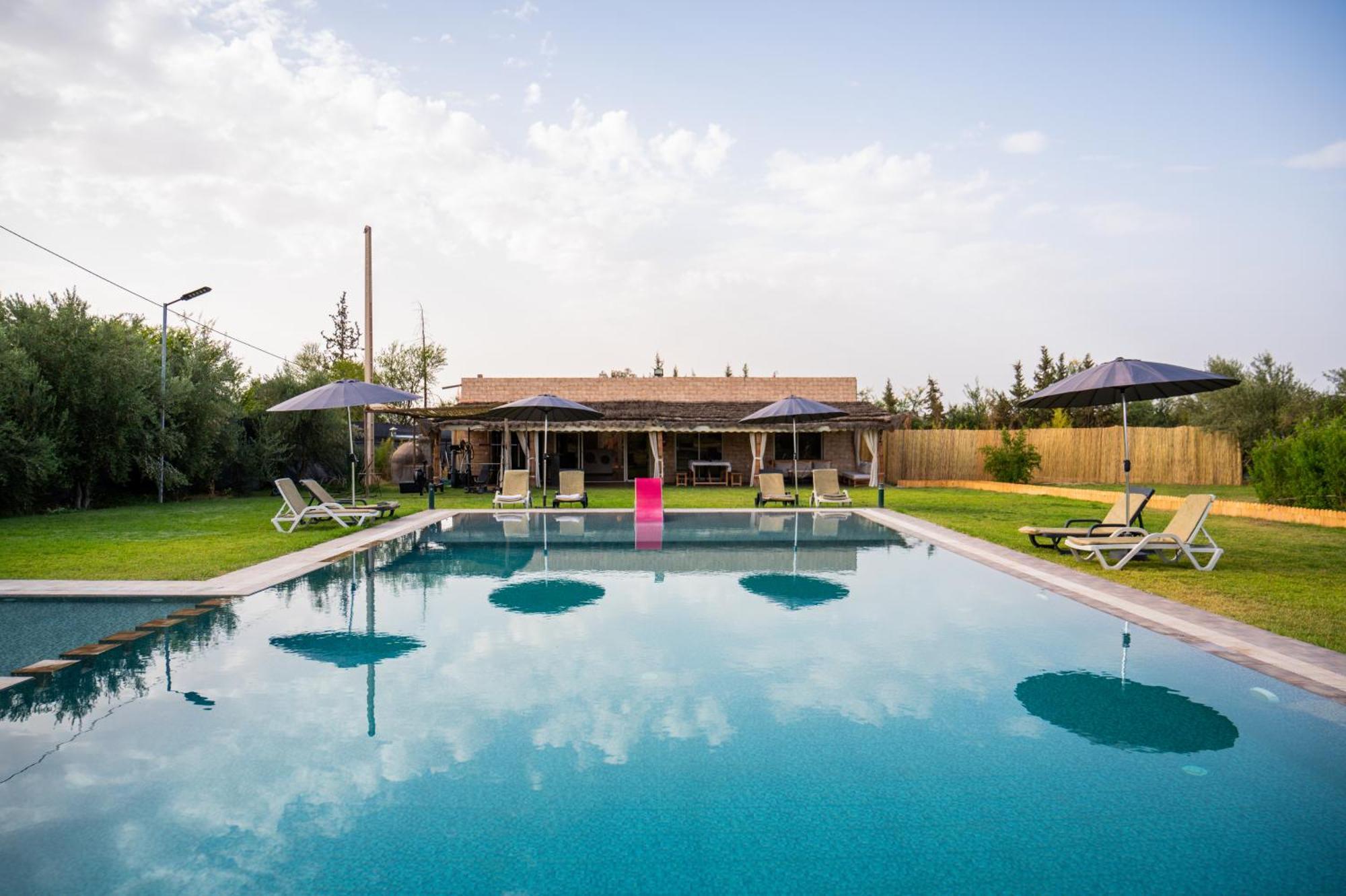 Olea & Marrakesh