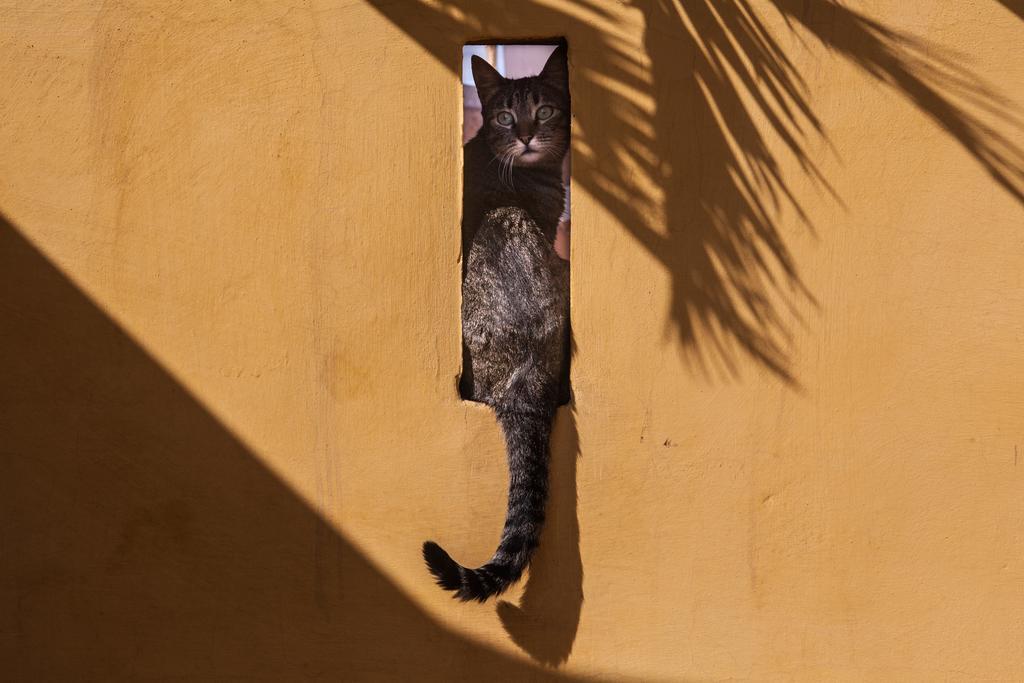 Dar Kleta Marrakesh