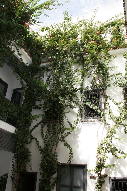 Bougainvillea Riad 3*