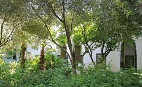 Madani Appartement