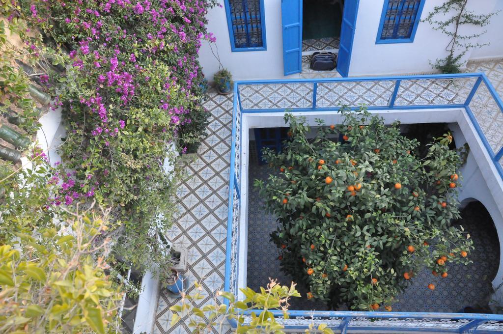 Dar Mai Riad *