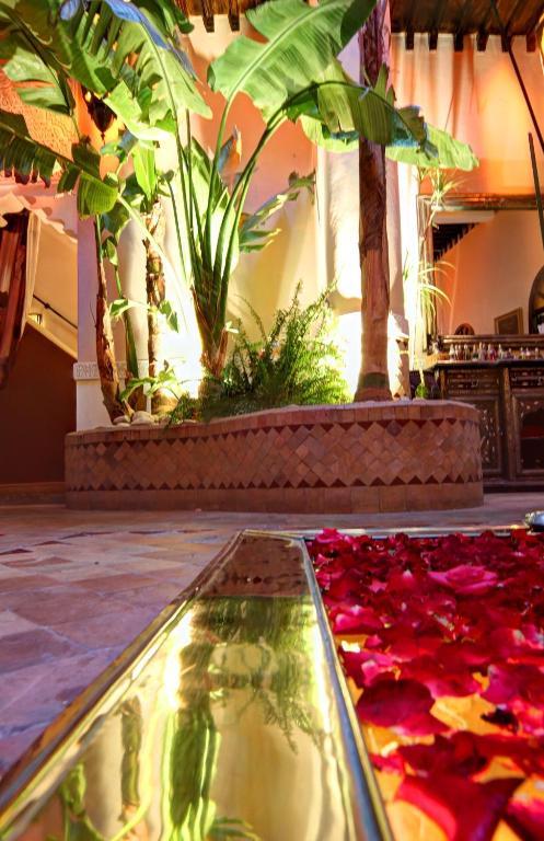 Jona Riad Marrakesch