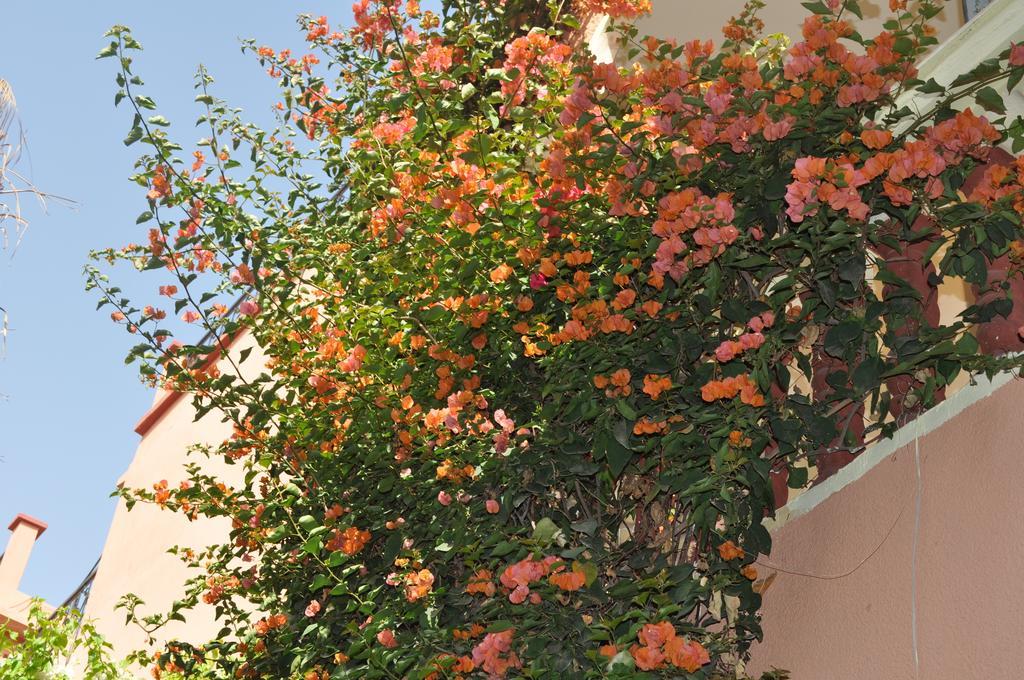 Zina * Marrakesh