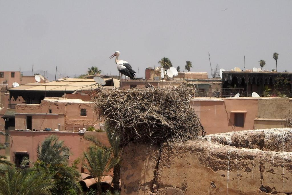 Ma Maison 3* Marrakesh