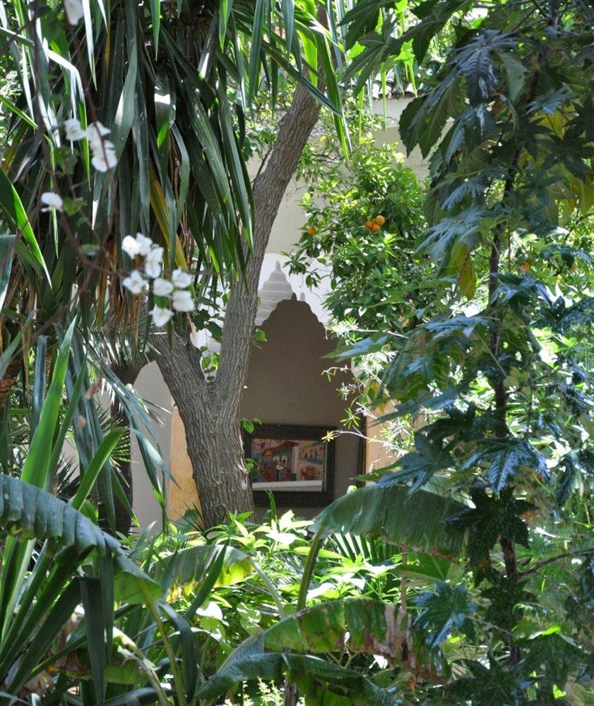 El Arsat&spa Riad
