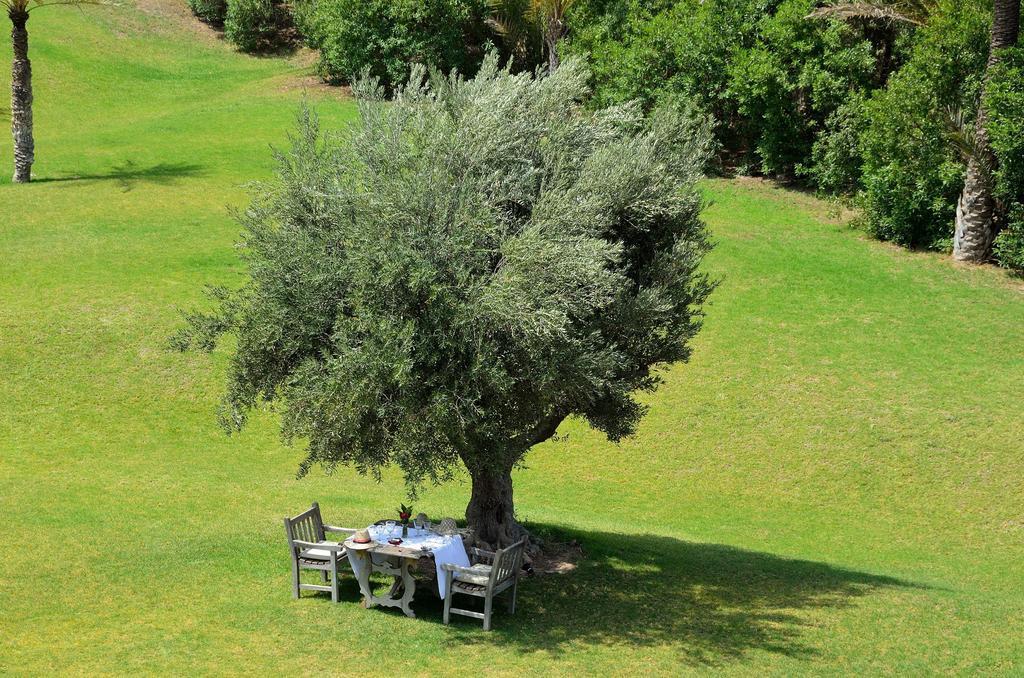 Ksar Char-bagh Small Luxury Marrakesh