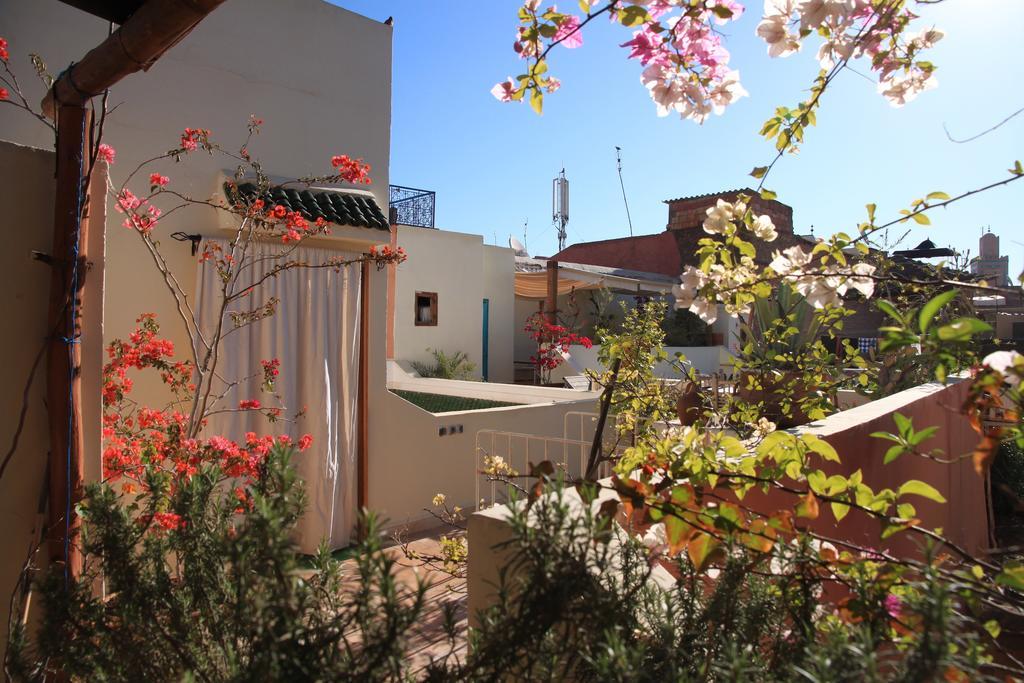 Le Coq Fou Marrakesh