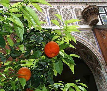 Hotel Jenai Demeures Du Maroc Marrakesh