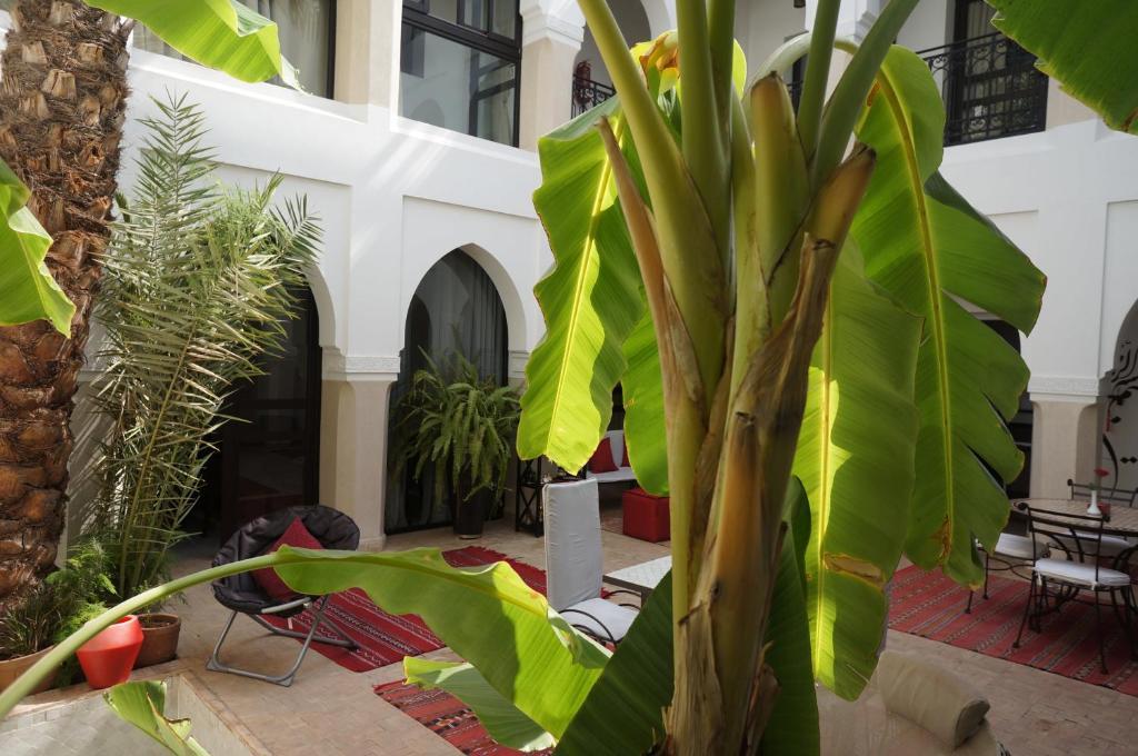 Shanima Marrakech Marrakesh
