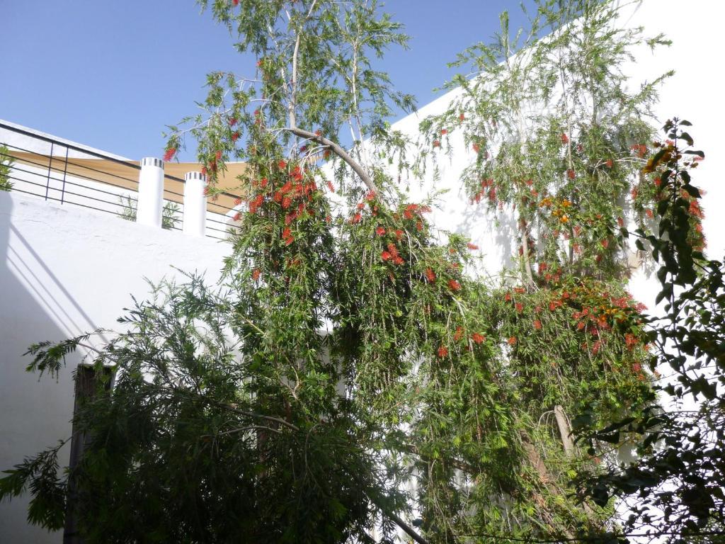 Tchina