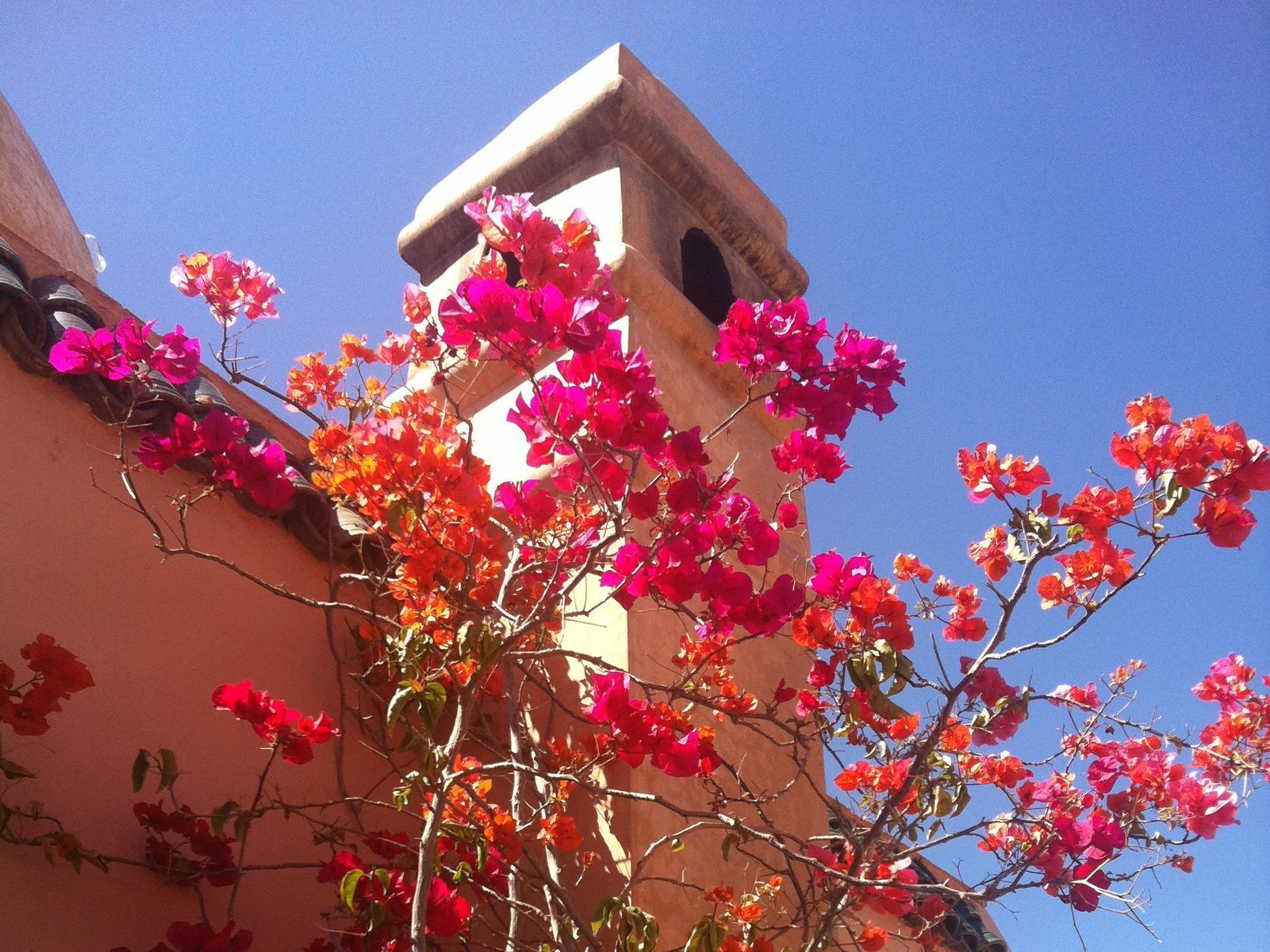 Dar Sohane 4*