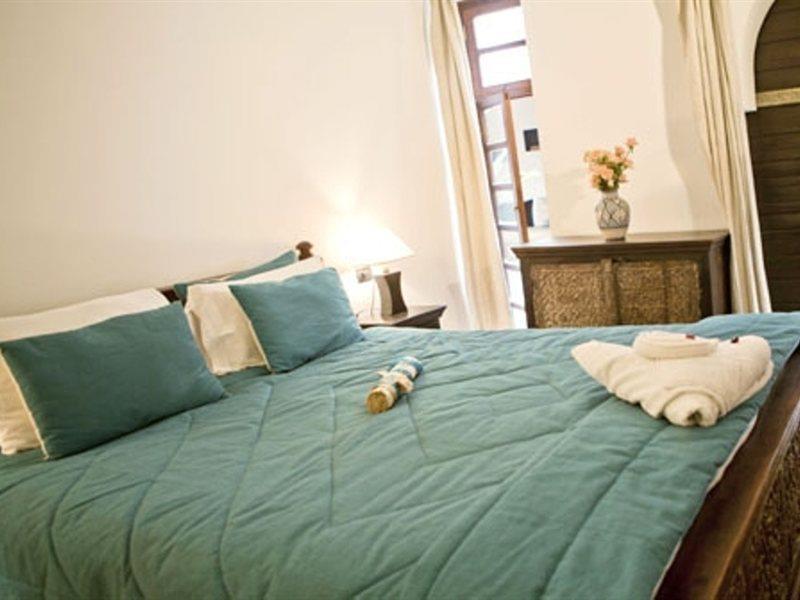 Les Ammonites And Marrakesh