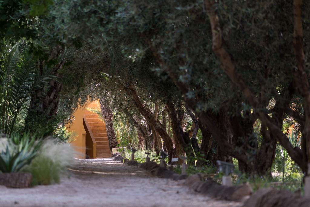 Maison d'hôtes Jnane Tamsna Marrakesh