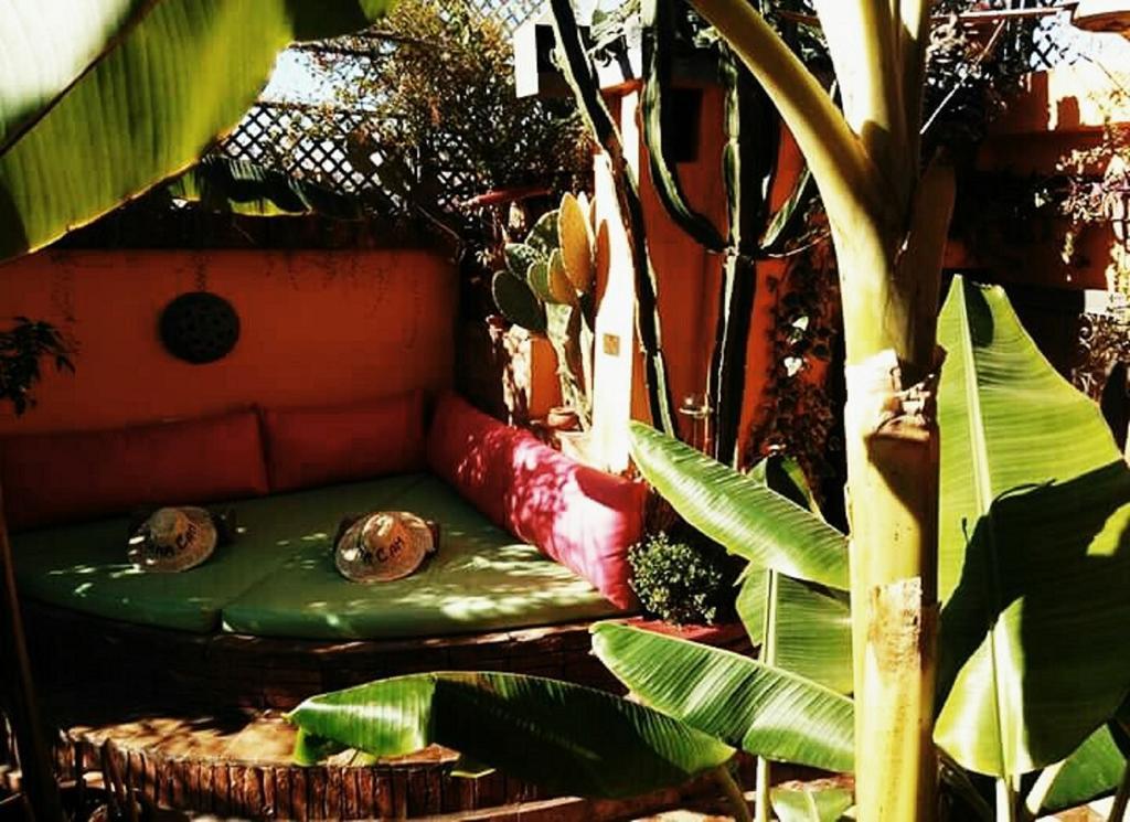 Laith (adults Only) Riad Marrakesch