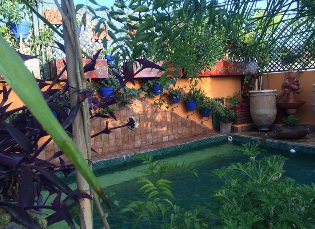 Riad Laith (adults Only) Marrakesch