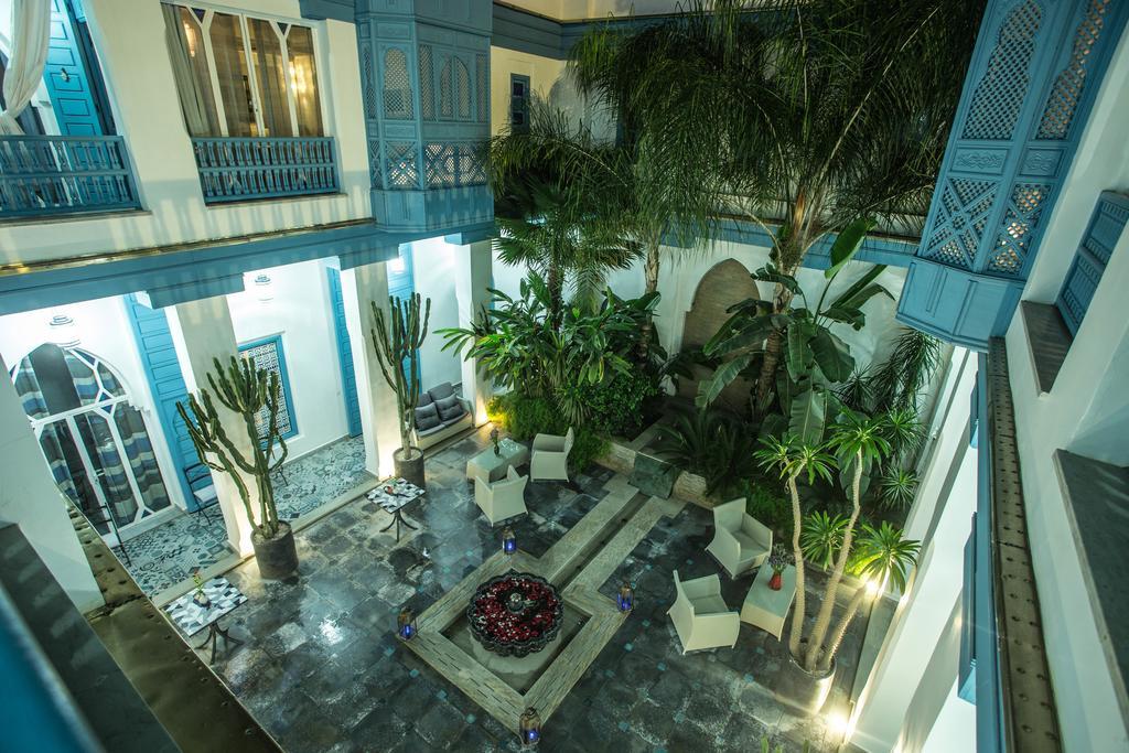 Le Perroquet Bleu & Marrakesh